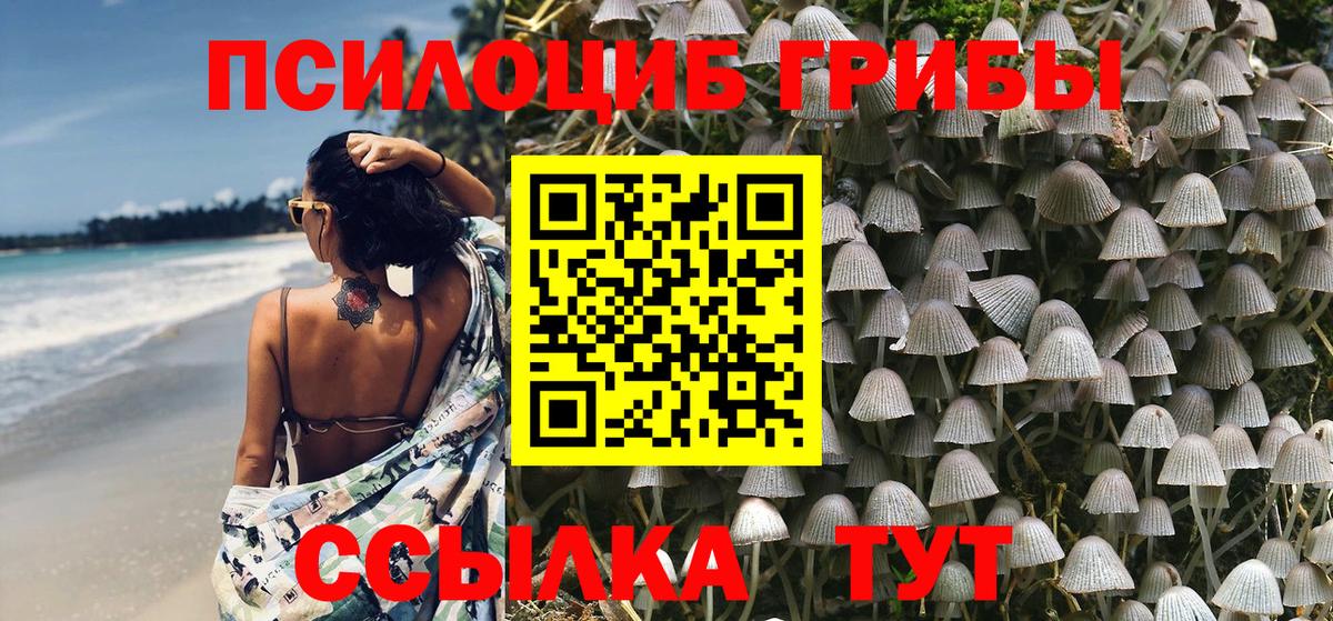 Псилоцибиновые грибы GOLDEN TEACHER Кулебаки