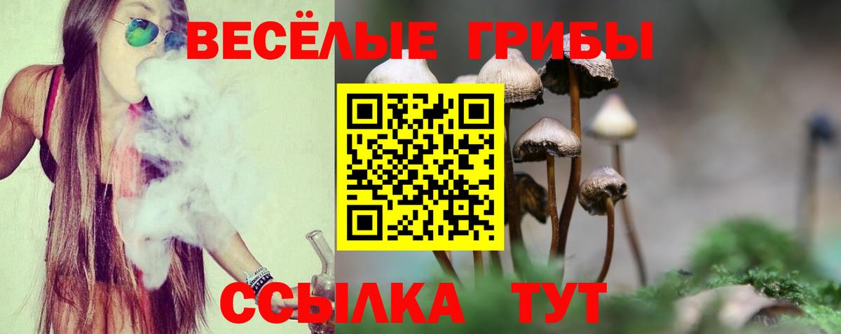 Кулебаки  Псилоцибиновые грибы Psilocybine cubensis  Вход с VPN 